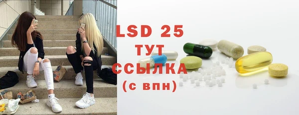 ECSTASY Алзамай