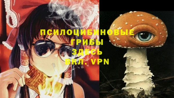 ECSTASY Алзамай