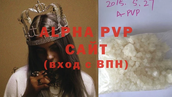 стафф Алексин