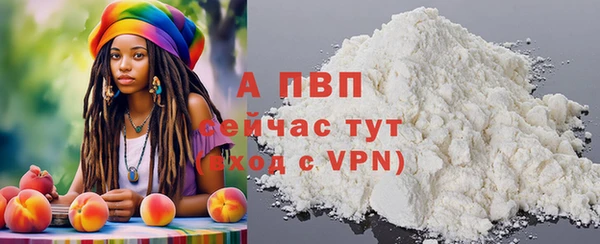 стафф Алексин