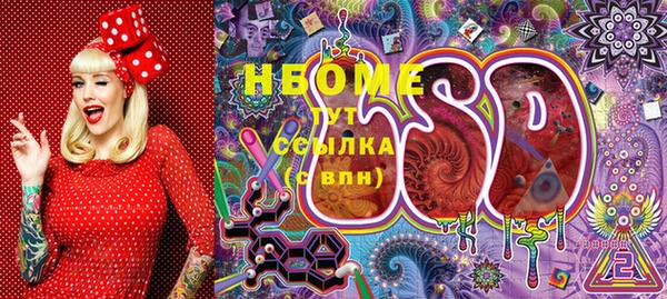 ECSTASY Алзамай