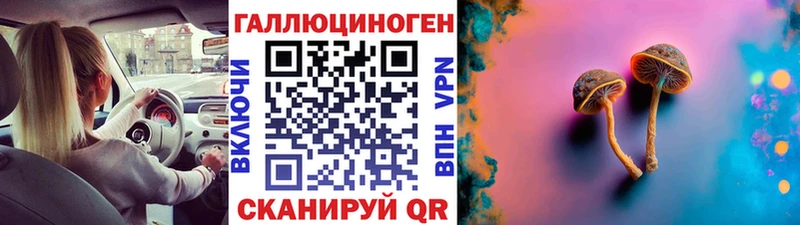 Галлюциногенные грибы Psilocybe  как найти закладки  мориарти формула  Красноярск 