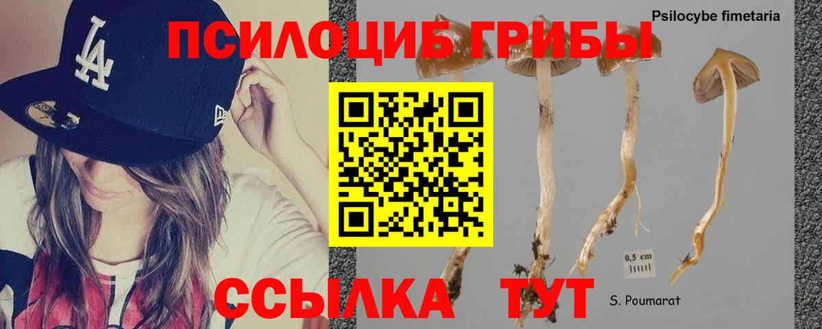 Галлюциногенные грибы прущие грибы  Вход с VPN  Красноярск 